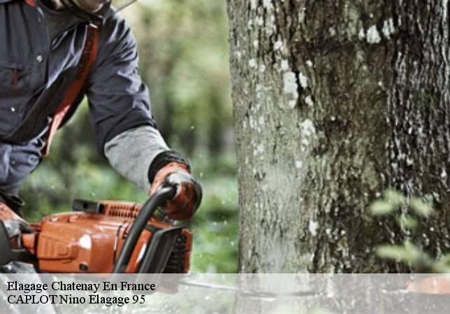 Elagage  chatenay-en-france-95190 CAPLOT Nino Elagage 95