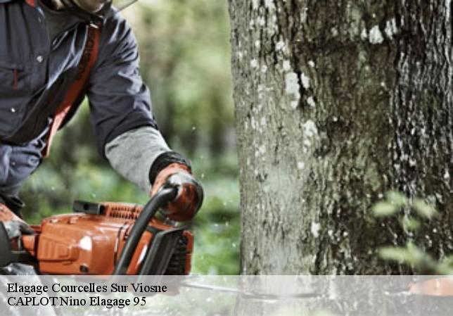 Elagage courcelles-sur-viosne-95650 CAPLOT Nino Elagage 95
