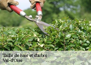 Taille de haie et d'arbre Val-d'Oise 