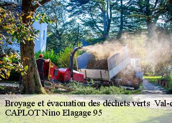 Broyage et évacuation des déchets verts  95 Val-d'Oise  CAPLOT Nino Elagage 95