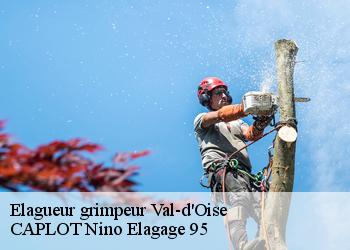 Elagueur grimpeur 95 Val-d'Oise  CAPLOT Nino Elagage 95