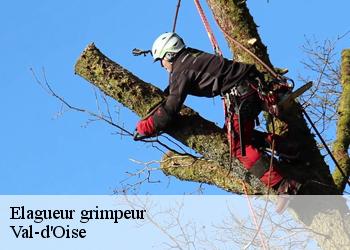 Elagueur grimpeur Val-d'Oise 