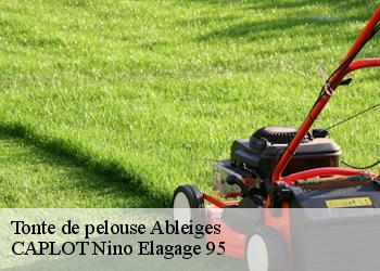 Tonte de pelouse  ableiges-95450 CAPLOT Nino Elagage 95