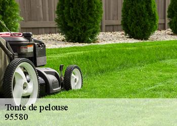 Tonte de pelouse  95580