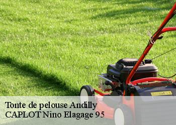 Tonte de pelouse  andilly-95580 CAPLOT Nino Elagage 95