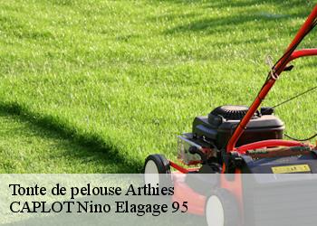 Tonte de pelouse  arthies-95420 CAPLOT Nino Elagage 95