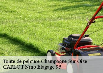 Tonte de pelouse  champagne-sur-oise-95660 CAPLOT Nino Elagage 95