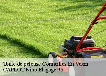 Tonte de pelouse  cormeilles-en-vexin-95830 CAPLOT Nino Elagage 95