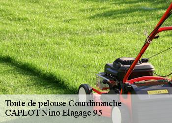 Tonte de pelouse  courdimanche-95800 CAPLOT Nino Elagage 95