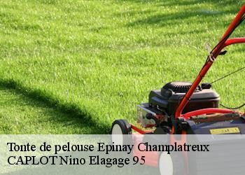Tonte de pelouse  epinay-champlatreux-95270 CAPLOT Nino Elagage 95