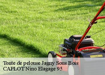 Tonte de pelouse jagny-sous-bois-95850 CAPLOT Nino Elagage 95