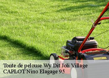 Tonte de pelouse  wy-dit-joli-village-95420 CAPLOT Nino Elagage 95