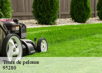 Tonte de pelouse 95280