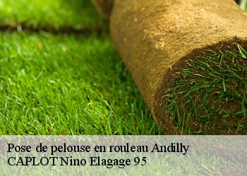 Pose de pelouse en rouleau  andilly-95580 CAPLOT Nino Elagage 95