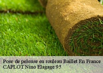 Pose de pelouse en rouleau  baillet-en-france-95560 CAPLOT Nino Elagage 95