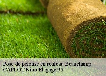 Pose de pelouse en rouleau  beauchamp-95250 CAPLOT Nino Elagage 95