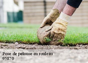 Pose de pelouse en rouleau 95870
