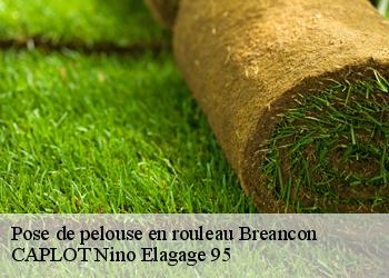 Pose de pelouse en rouleau  breancon-95640 CAPLOT Nino Elagage 95