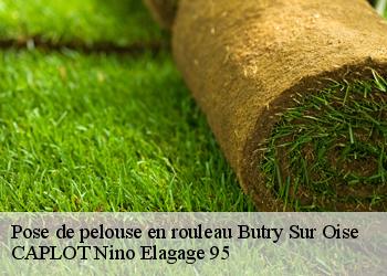 Pose de pelouse en rouleau  butry-sur-oise-95430 CAPLOT Nino Elagage 95
