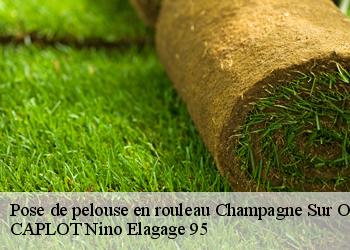 Pose de pelouse en rouleau  champagne-sur-oise-95660 CAPLOT Nino Elagage 95