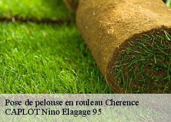 Pose de pelouse en rouleau  cherence-95510 CAPLOT Nino Elagage 95