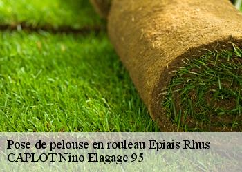 Pose de pelouse en rouleau  epiais-rhus-95810 CAPLOT Nino Elagage 95