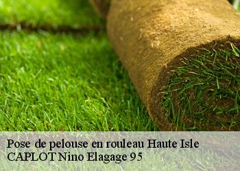 Pose de pelouse en rouleau  haute-isle-95780 CAPLOT Nino Elagage 95