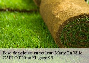 Pose de pelouse en rouleau  marly-la-ville-95670 CAPLOT Nino Elagage 95