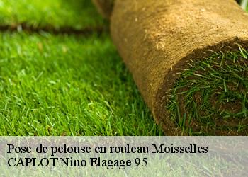 Pose de pelouse en rouleau  moisselles-95570 CAPLOT Nino Elagage 95