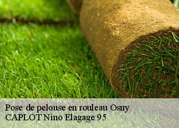 Pose de pelouse en rouleau  osny-95520 CAPLOT Nino Elagage 95