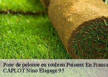 Pose de pelouse en rouleau puiseux-en-france-95380 CAPLOT Nino Elagage 95