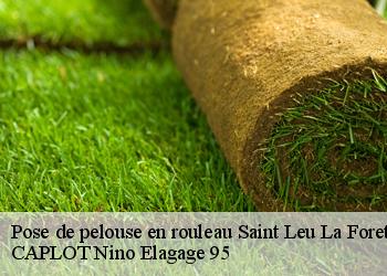Pose de pelouse en rouleau  saint-leu-la-foret-95320 CAPLOT Nino Elagage 95
