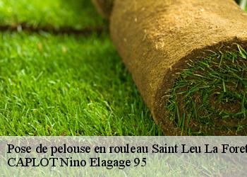 Pose de pelouse en rouleau saint-leu-la-foret-95320 CAPLOT Nino Elagage 95