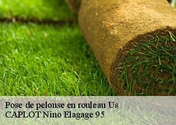 Pose de pelouse en rouleau  us-95450 CAPLOT Nino Elagage 95