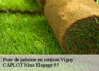 Pose de pelouse en rouleau vigny-95450 CAPLOT Nino Elagage 95
