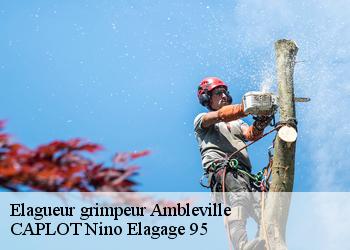 Elagueur grimpeur  ambleville-95710 CAPLOT Nino Elagage 95