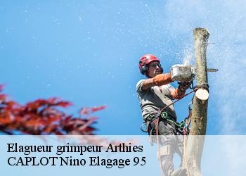 Elagueur grimpeur  arthies-95420 CAPLOT Nino Elagage 95