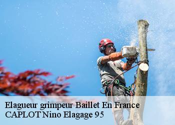 Elagueur grimpeur  baillet-en-france-95560 CAPLOT Nino Elagage 95