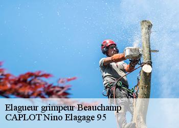 Elagueur grimpeur  beauchamp-95250 CAPLOT Nino Elagage 95