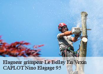 Elagueur grimpeur  le-bellay-en-vexin-95750 CAPLOT Nino Elagage 95