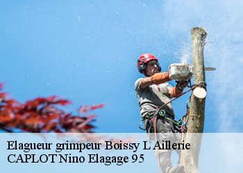 Elagueur grimpeur  boissy-l-aillerie-95650 CAPLOT Nino Elagage 95