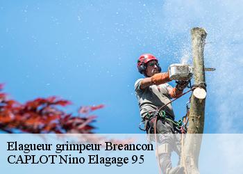 Elagueur grimpeur  breancon-95640 CAPLOT Nino Elagage 95
