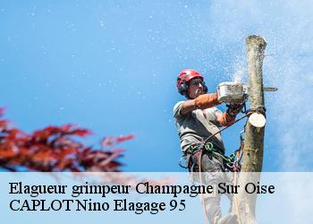 Elagueur grimpeur  champagne-sur-oise-95660 CAPLOT Nino Elagage 95