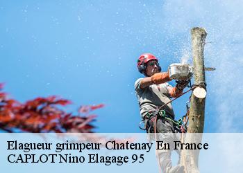Elagueur grimpeur  chatenay-en-france-95190 CAPLOT Nino Elagage 95