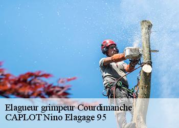 Elagueur grimpeur  courdimanche-95800 CAPLOT Nino Elagage 95