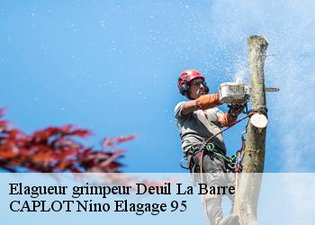 Elagueur grimpeur  deuil-la-barre-95170 CAPLOT Nino Elagage 95