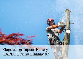 Elagueur grimpeur  ennery-95300 CAPLOT Nino Elagage 95