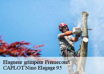 Elagueur grimpeur  fremecourt-95830 CAPLOT Nino Elagage 95