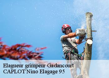 Elagueur grimpeur  gadancourt-95450 CAPLOT Nino Elagage 95