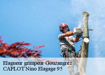 Elagueur grimpeur  gouzangrez-95450 CAPLOT Nino Elagage 95